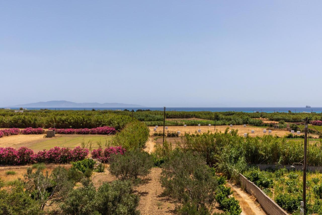 Villa Oneiric Harmony Mikri Vigla Exterior foto